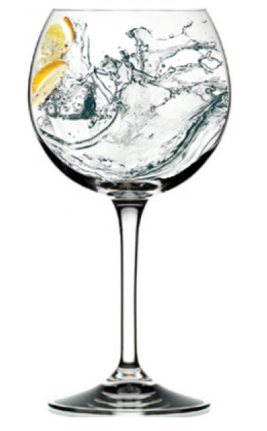 Copas de Gin Tonic