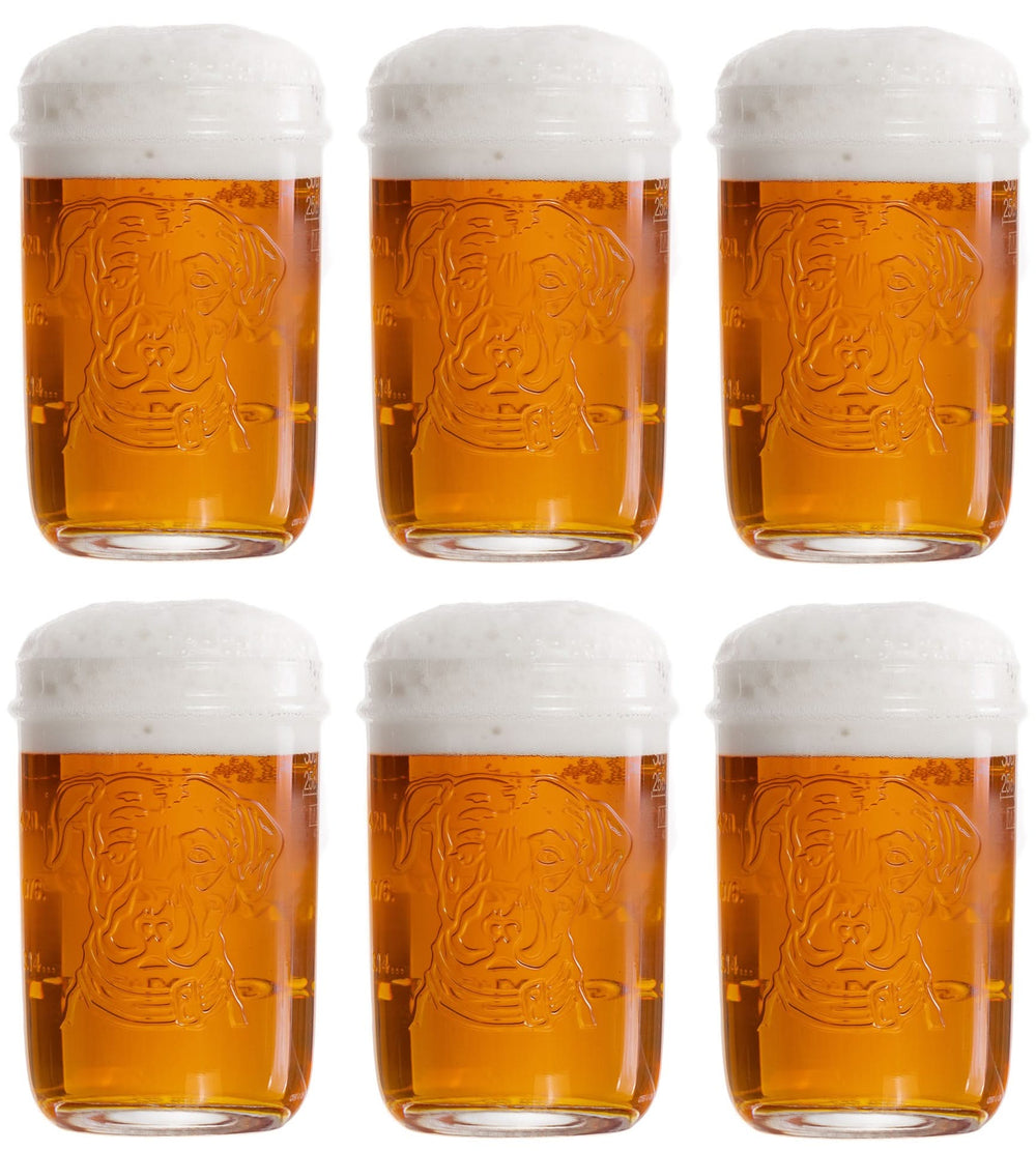 Vasos de cerveza Lagunitas - 300 ml - 6 piezas
