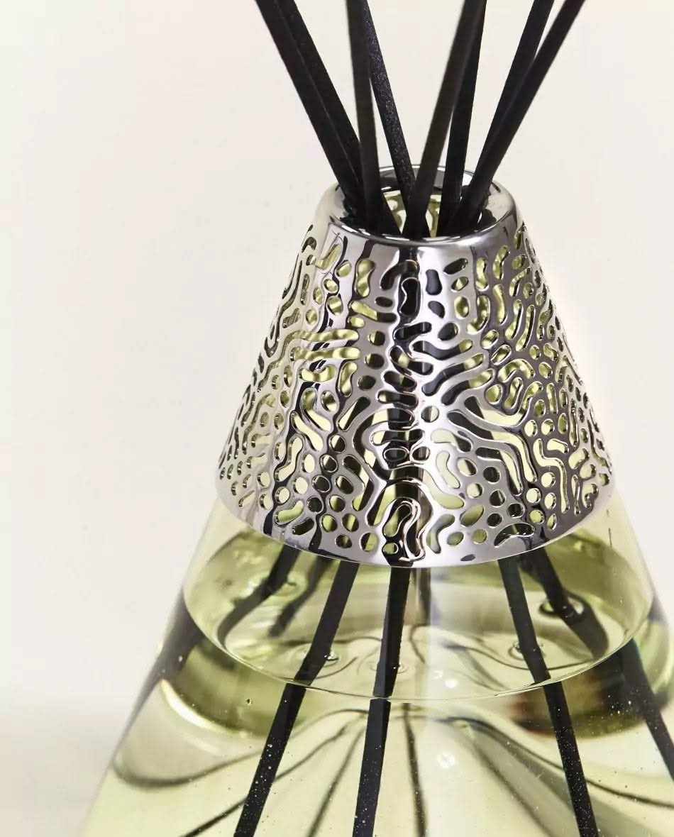 Varitas aromáticas Maison Berger Philippe Starck - Peau D'Ailleurs - Verde 125 ml