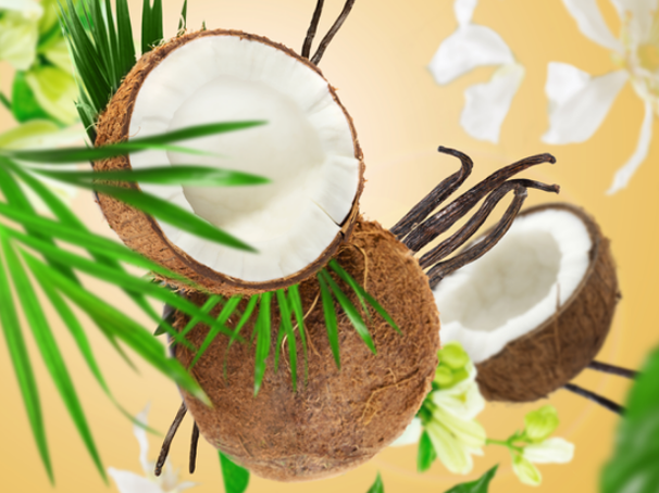 Maison Berger Recarga - para autoparfum - Coconut Monoi - 2 unidades