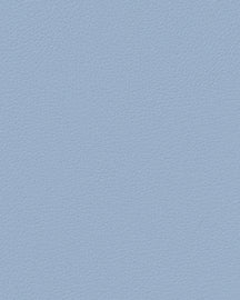 LIND DNA Manteles Individuales Nupo - Cuero - Azul Claro 45 x 35 cm - 2 Piezas