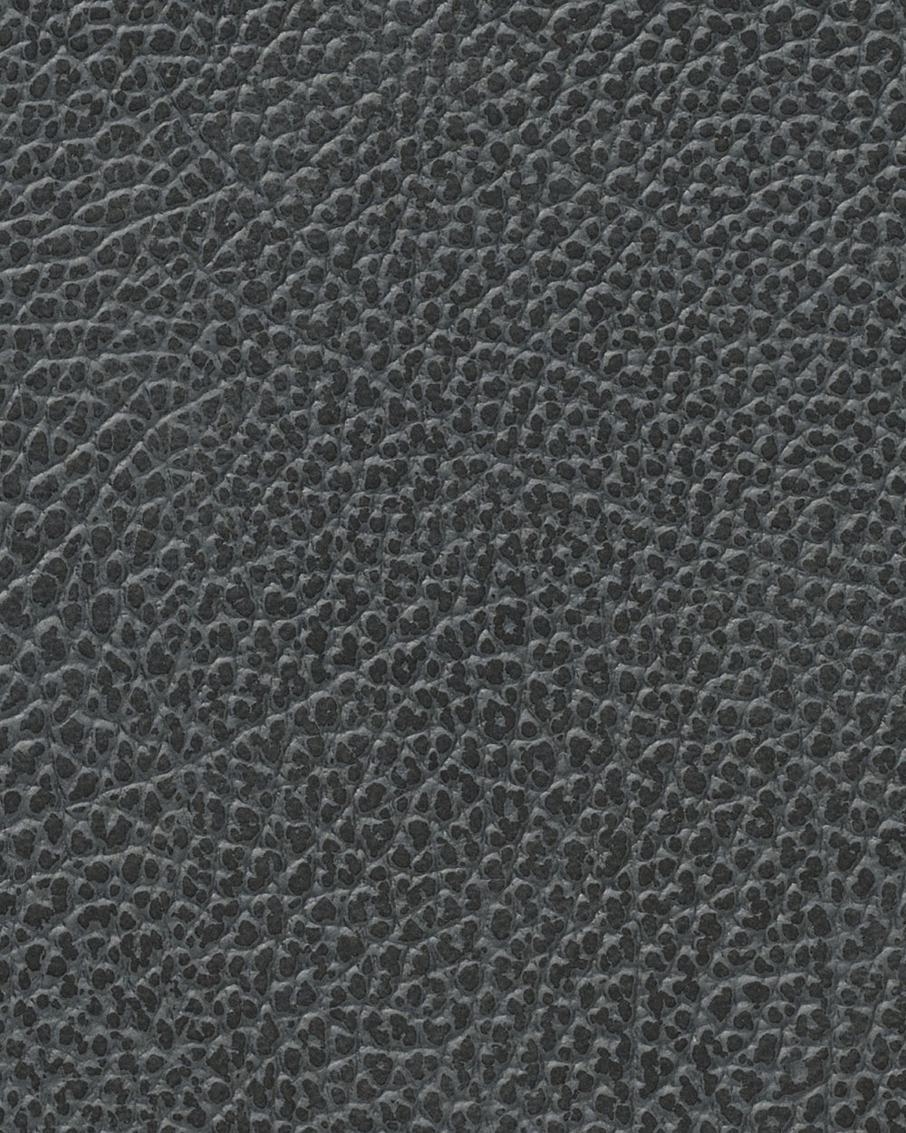 LIND DNA Manteles Individuales Hippo - Cuero - Antracita Negro - Curvado - 44 x 37 cm - 2 Piezas