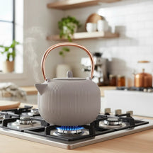 BerlingerHaus Tetera con Filtro de Acero Inoxidable - Hierro Fundido Taupe - 1 Litro