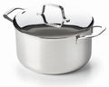 Olla Beka Maestro Acero inoxidable con tapa ø 24 cm / 5.1 litros - apto para todas las fuentes de calor