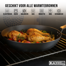 Blackwell Sartén de acero al carbono ø 20 cm - apta para todas las fuentes de calor - sin recubrimiento antiadherente