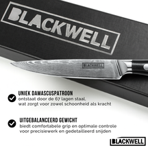 Set de cuchillos Blackwell (Cuchillo de chef + Cuchillo para verduras + Cuchillo de oficina) - Estilo japonés - Acero damasco de 67 capas - VG10 - 3 piezas