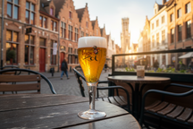 Vasos de cerveza Brugse Zot 330 ml - 4 piezas