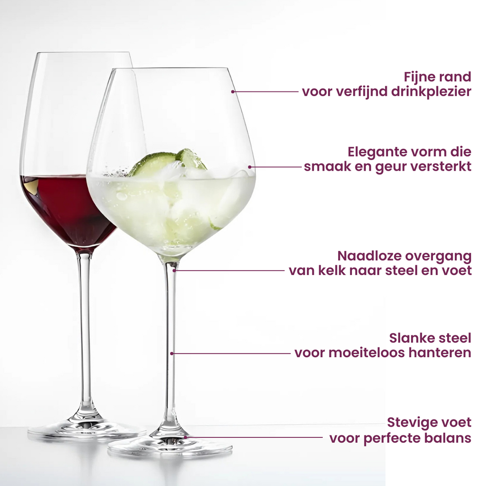 Schott Zwiesel Juego de copas de vino Fortissimo 12 piezas - Copas de vino blanco, copas de vino tinto y copas de borgoña