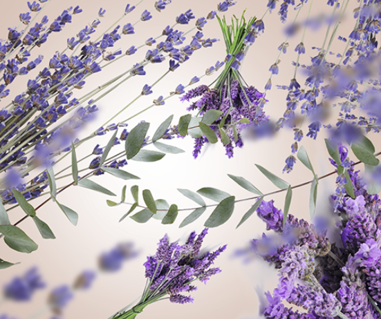 Recarga Maison Berger - para quemador de fragancia - Lavender Fields - 1 litro