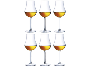 Copas para grappas Chef & Sommelier Open Up - 165 ml - 6 unidades