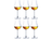 Copas para grappas Chef & Sommelier Open Up - 165 ml - 6 unidades
