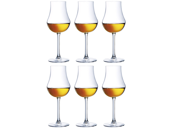 Copas para grappas Chef & Sommelier Open Up - 165 ml - 6 unidades