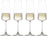 Schott Zwiesel Copas de champán - Flutes - MioVino - 260 ml - 4 piezas