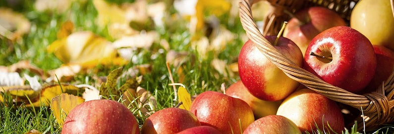Compota de manzana fresca en un abrir y cerrar de ojos, sin complicaciones