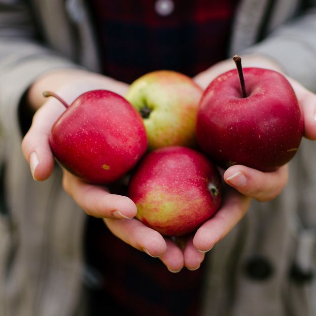 ¿Qué alimentos puedes envasar al vacío?