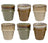 Cookinglife Tazas de espresso Nomad Ridge 100 ml - 6 piezas