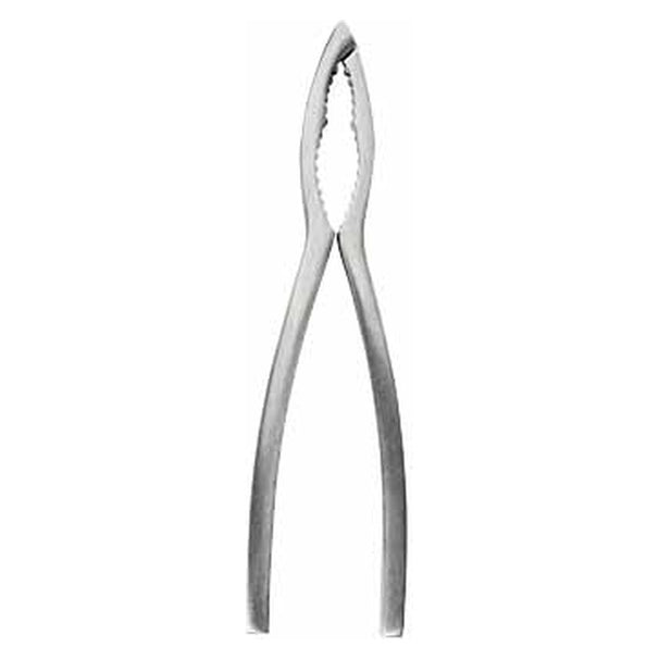 Crafts La Marée Pinza para Langosta Acero Inoxidable - 15,7 cm