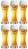 Vasos de cerveza Erdinger Weizen - 500 ml - 6 piezas