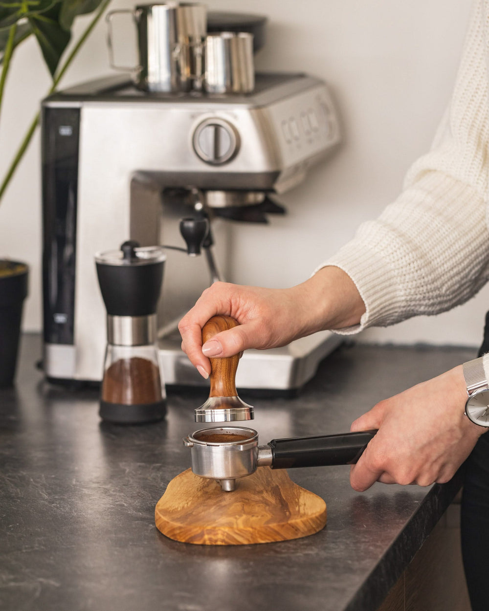 Jay Hill Tamper para Barista de Café - Madera de Rosa - ø 50.8 mm