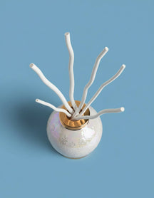 Recarga de varitas aromáticas Maison Berger Wilgenhout - para varitas aromáticas - Palito perfumado - 24 cm