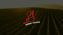 Set de copas de vino Veloce Riedel - Cabernet / Merlot, Pinot Noir / Nebbiolo, Sauvignon Blanc y Chardonnay - 4 piezas