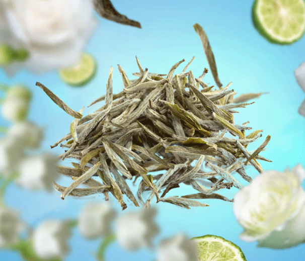 Recarga Maison Berger - para quemador de fragancia - Té Blanco Puro - 500 ml