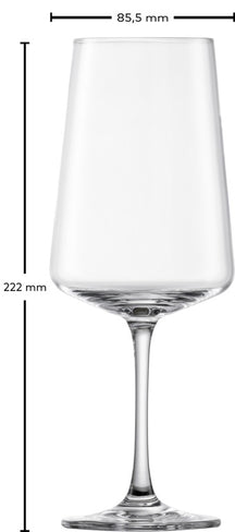 Schott Zwiesel Set de copas de vino MioVino de 12 piezas - Copas para vino tinto, vino blanco y champán