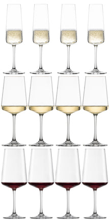 Schott Zwiesel Set de copas de vino MioVino de 12 piezas - Copas para vino tinto, vino blanco y champán